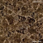 AM66001�����